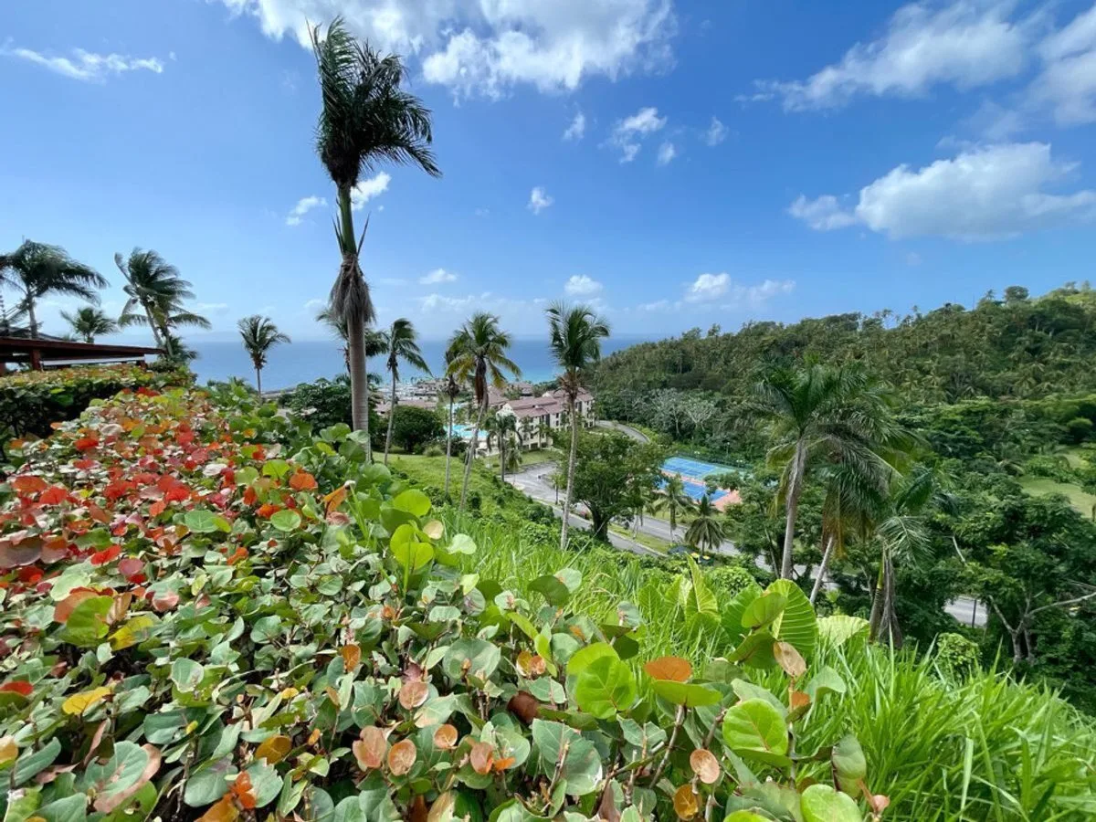 House in Doncel, Samaná, photo 13