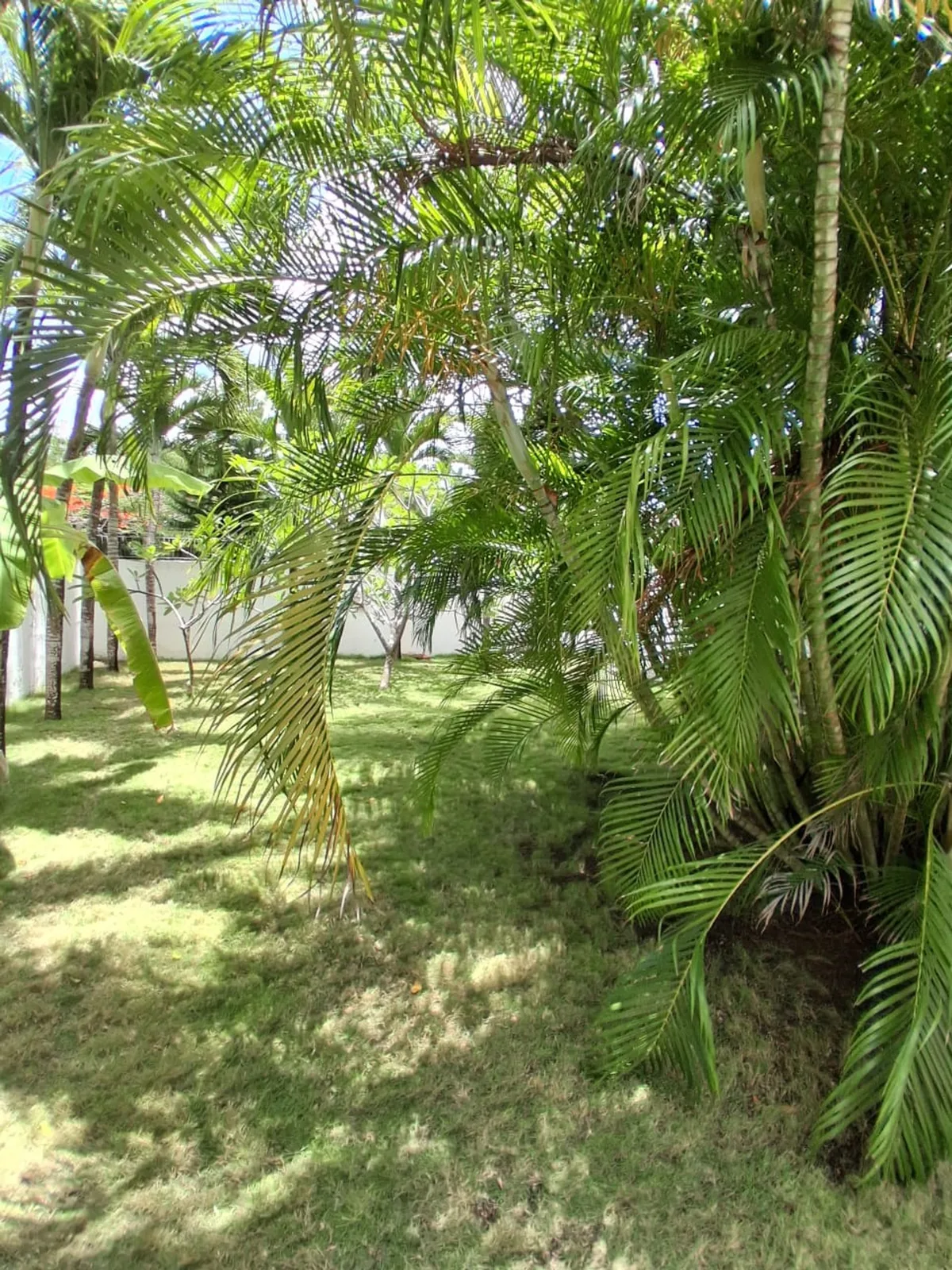 Your private oasis with pool, Juan dolio guayacane, photo 12