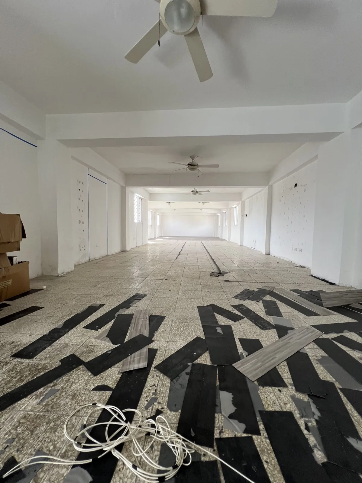 EDIFICIO COMERCIAL EN VENTA 1000 M² EVARISTO MORAL, foto 14