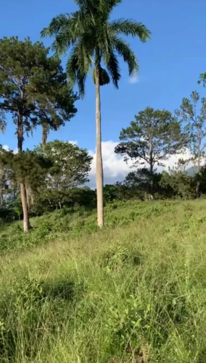 Terreno Jarabacoa, foto 3