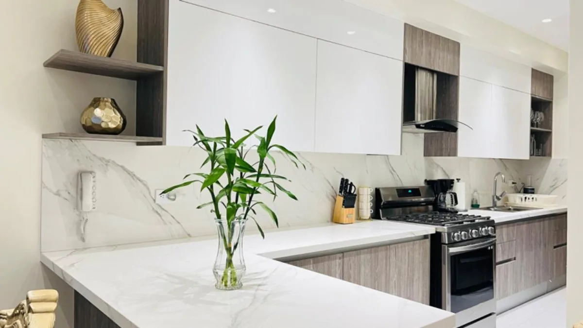 Appartement Meublé en Ensanche Naco, photo 2