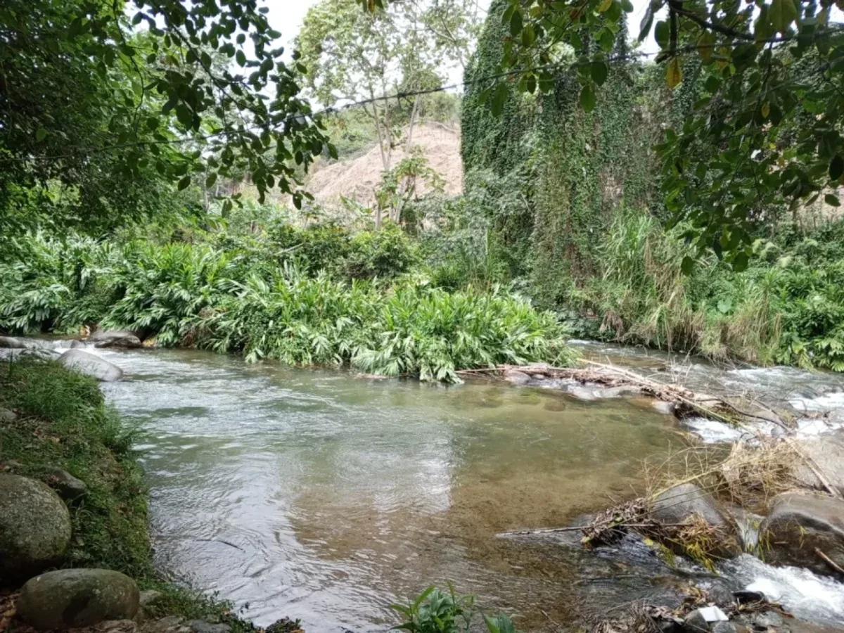 TERRENO EN VENTA MANABAO, JARABACOA, foto 2
