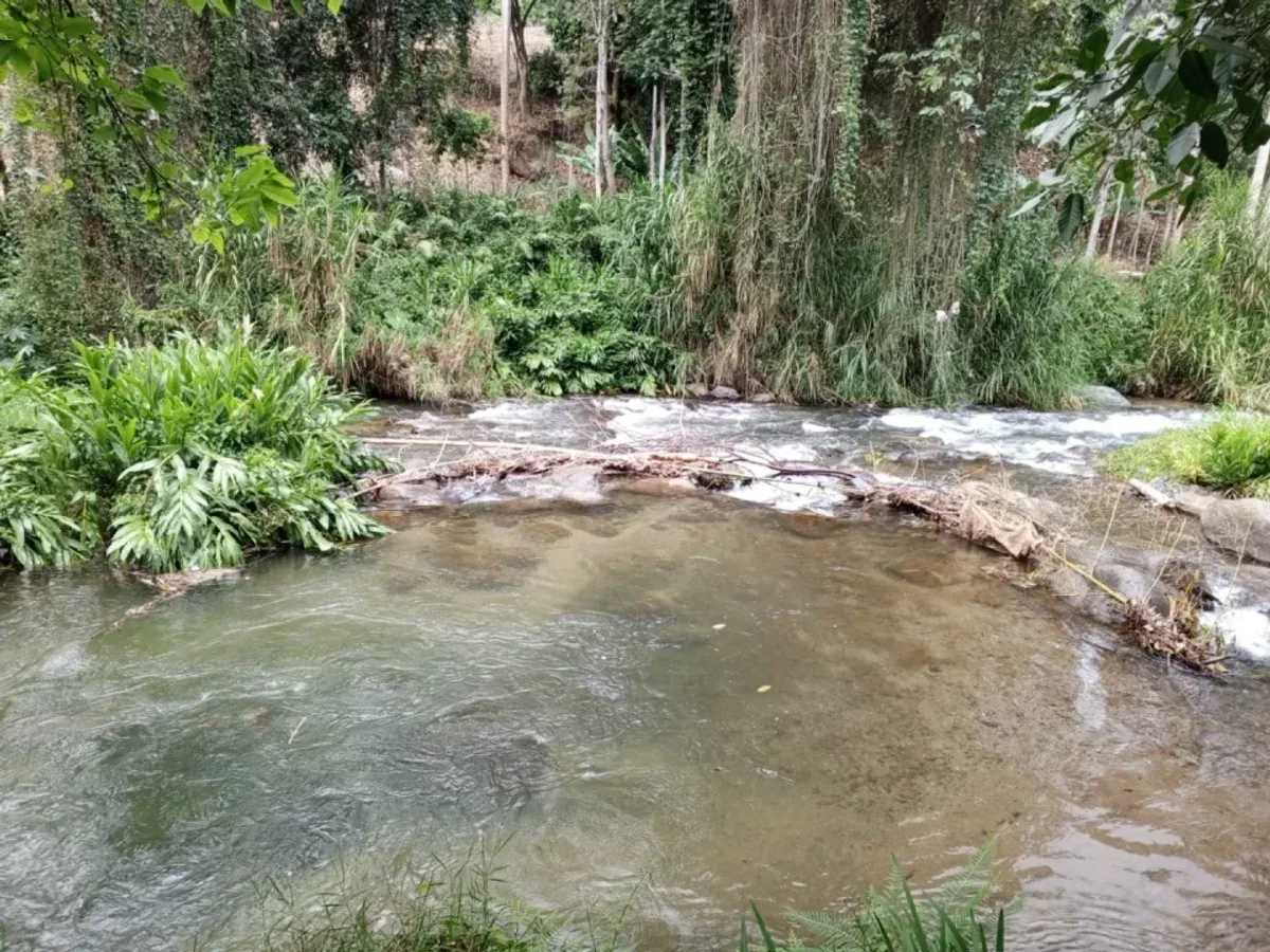 TERRENO EN VENTA MANABAO, JARABACOA, foto 5