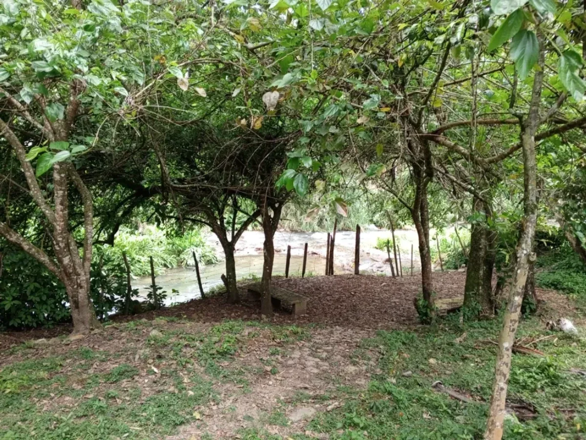TERRENO EN VENTA MANABAO, JARABACOA, foto 6