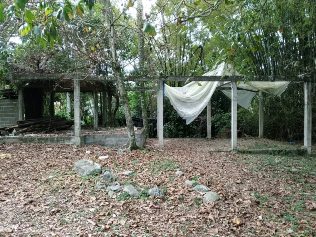 TERRENO EN VENTA MANABAO, JARABACOA, foto 7