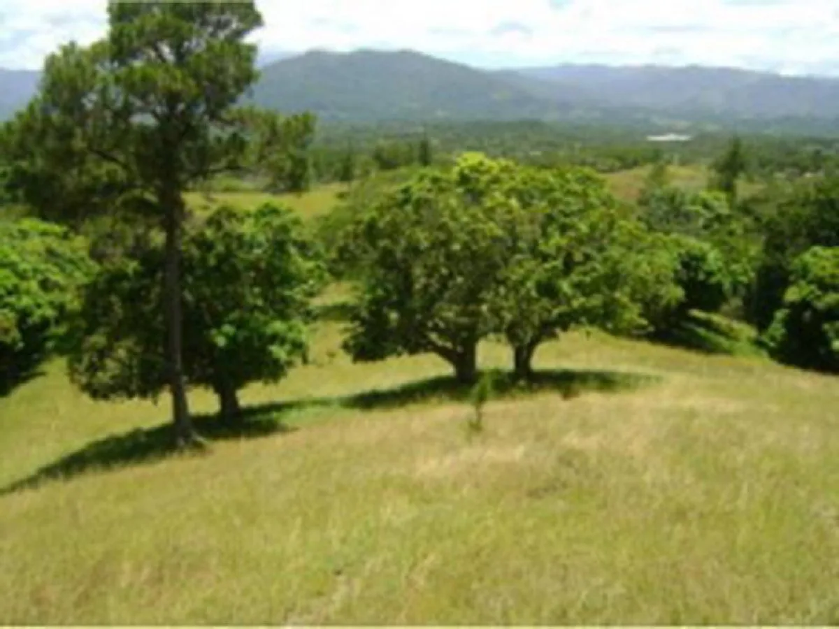 Land in Pedregal, San José De Las Matas, photo 2