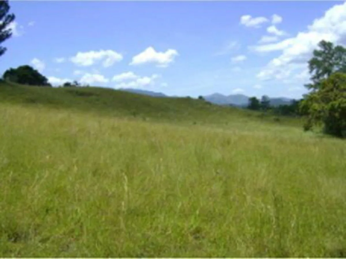Land in Pedregal, San José De Las Matas, photo 3