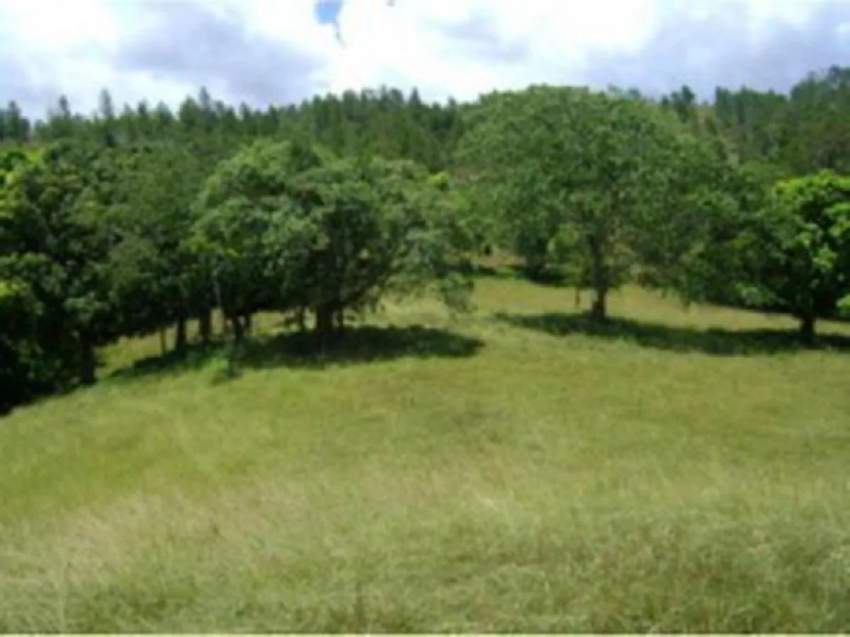 Land in Pedregal, San José De Las Matas, photo 4