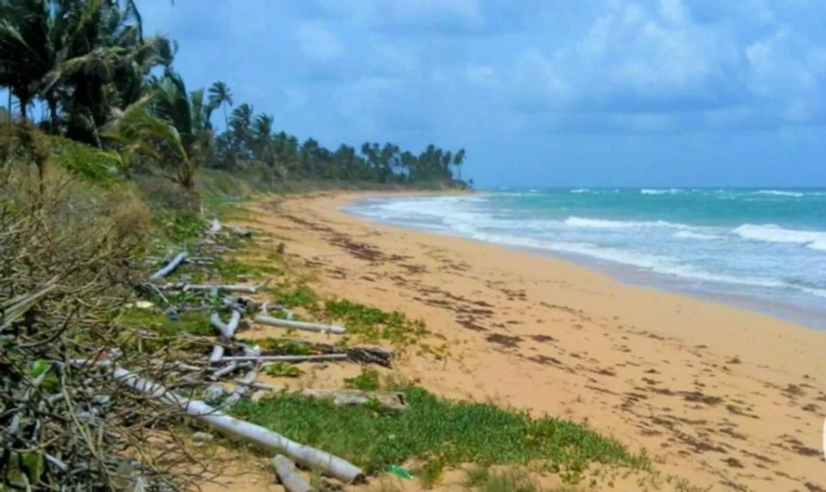 LAND FOR SALE 6,288 M² MACAO PUNTA CANA LA ALTAGRACIA, photo 2