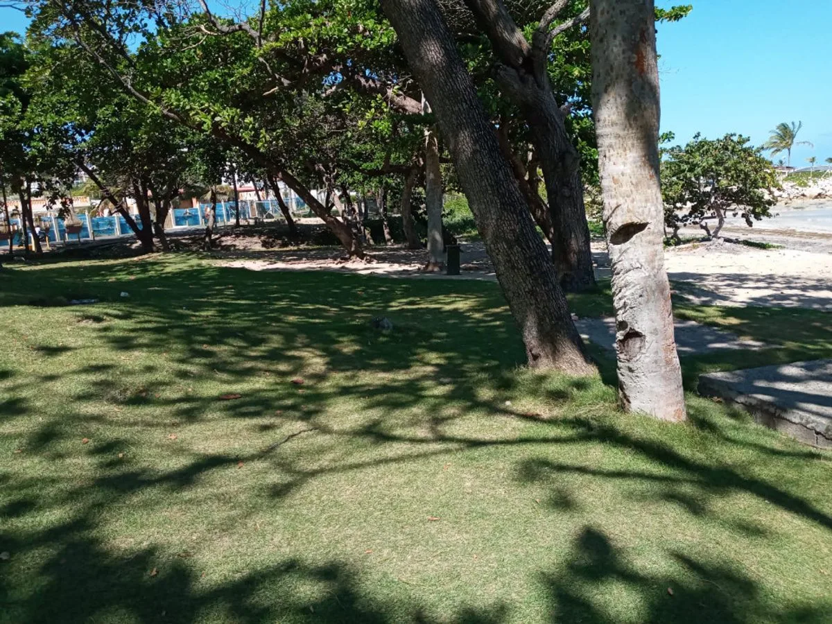 LAND FOR SALE 2,469 M² COFRESÍ PUERTO PLATA, photo 2