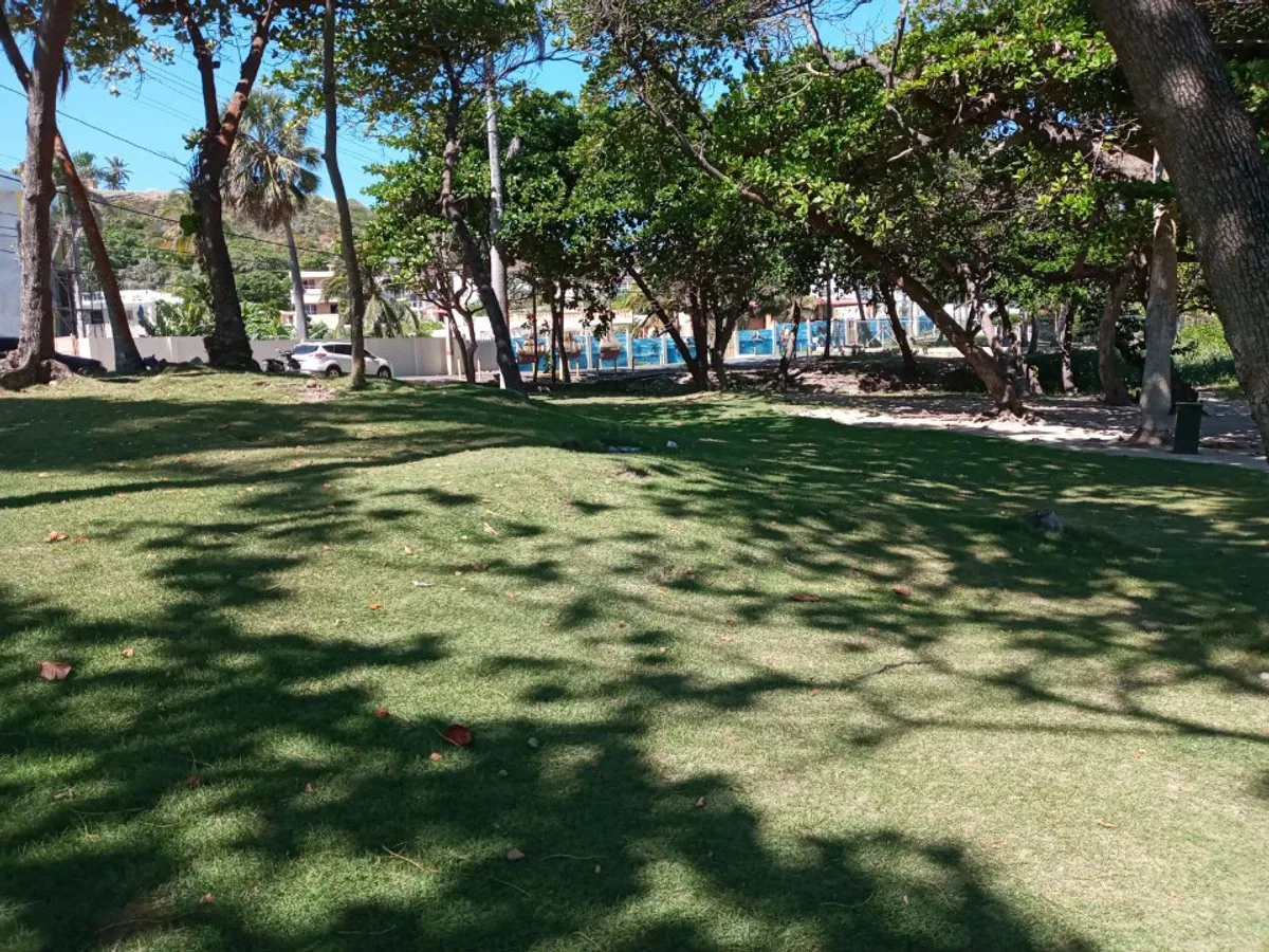 LAND FOR SALE 2,469 M² COFRESÍ PUERTO PLATA, photo 3