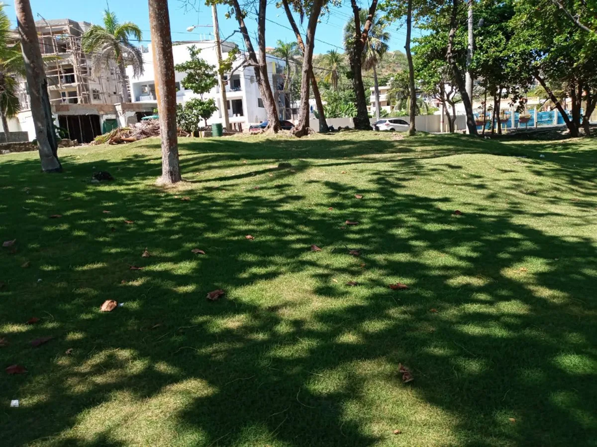 LAND FOR SALE 2,469 M² COFRESÍ PUERTO PLATA, photo 5