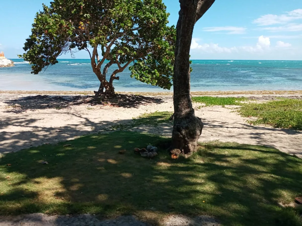 LAND FOR SALE 2,469 M² COFRESÍ PUERTO PLATA, photo 8