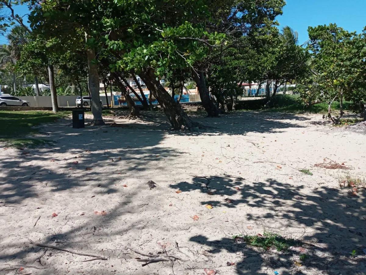 LAND FOR SALE 2,469 M² COFRESÍ PUERTO PLATA, photo 9