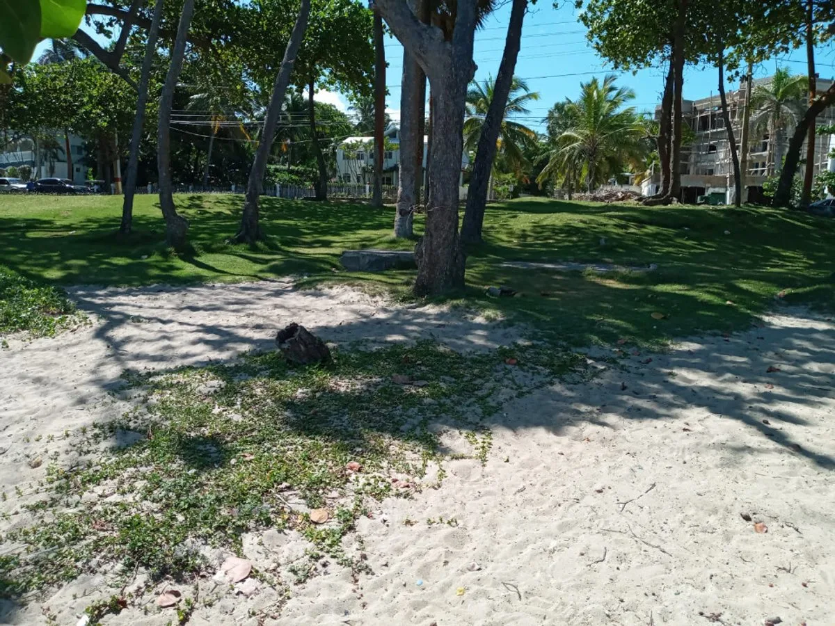 LAND FOR SALE 2,469 M² COFRESÍ PUERTO PLATA, photo 10