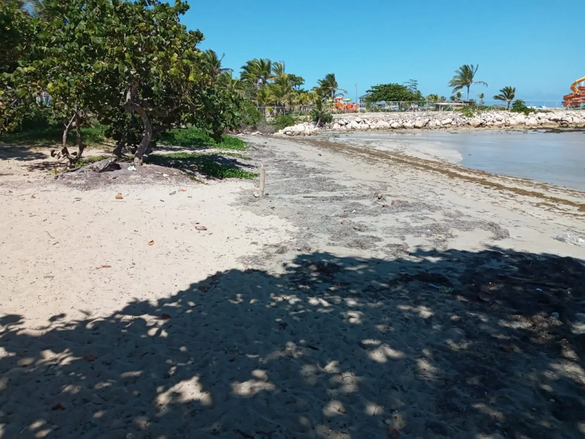 LAND FOR SALE 2,469 M² COFRESÍ PUERTO PLATA, photo 12