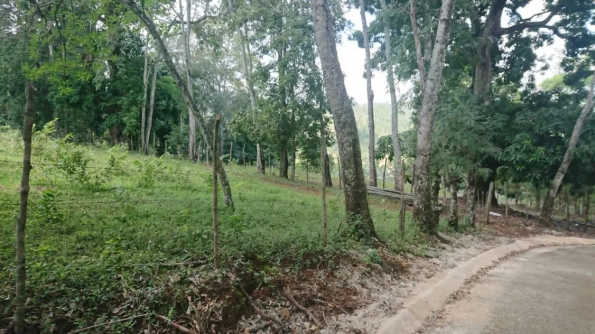 Terrain À La Quebrada, Jarabacoa, photo 2