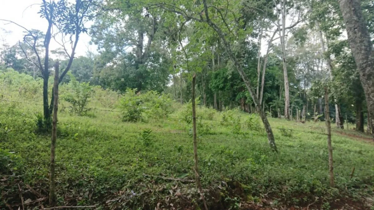 Terrain À La Quebrada, Jarabacoa, photo 3