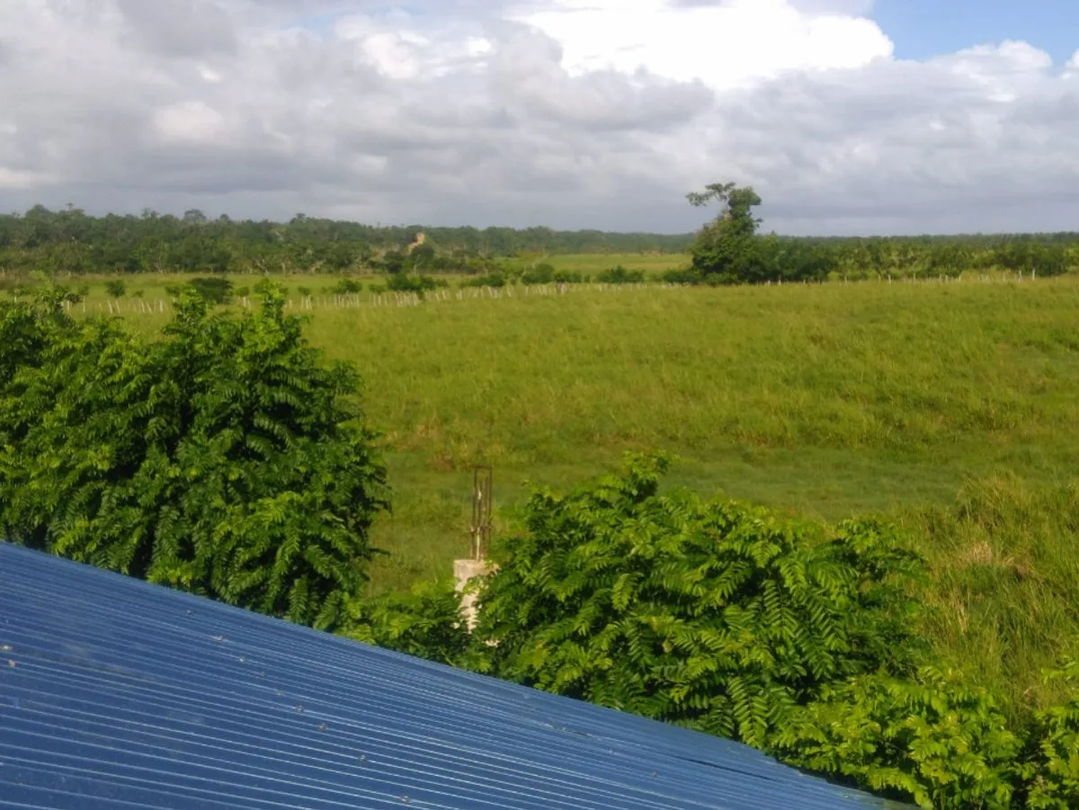 TERRAIN EN VENTE 54238 M² UVERO ALTO HIGÜEY LA ALT, photo 2
