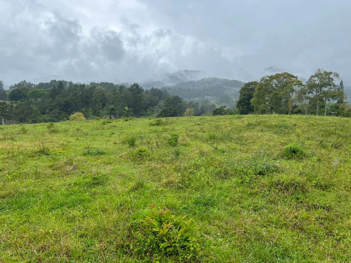 Terreno En Manabao, Jarabacoa, foto 3