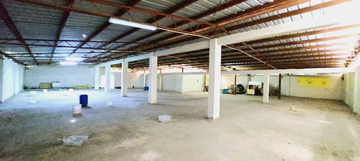 Gebäude oder Lokal zum Verkauf Bella Vista, Foto 13