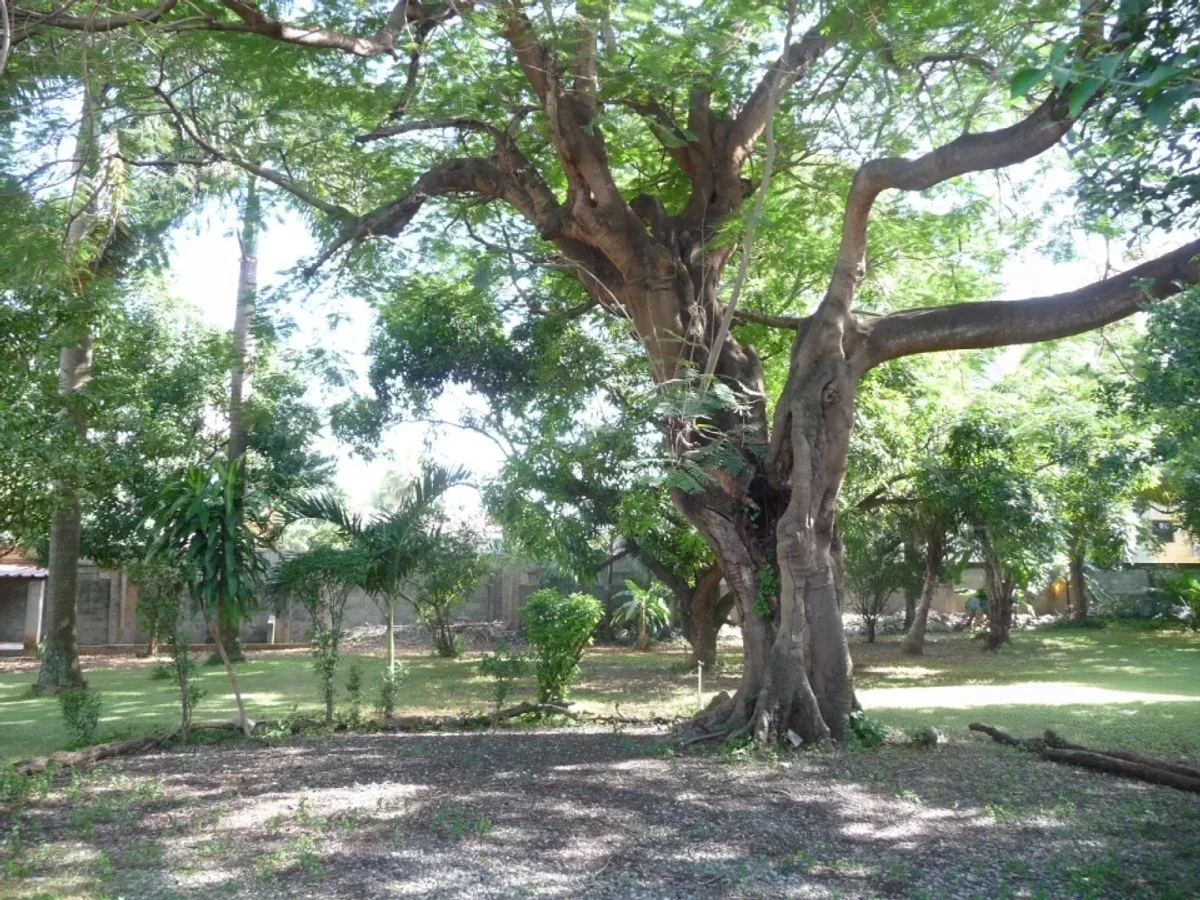 Terreno en La Esperilla, Santo Domingo, foto 5