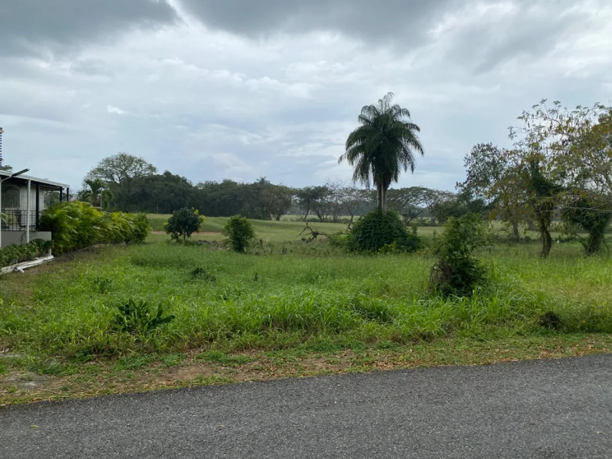 Exclusive lot with privileged view, Guavaberry, photo 3