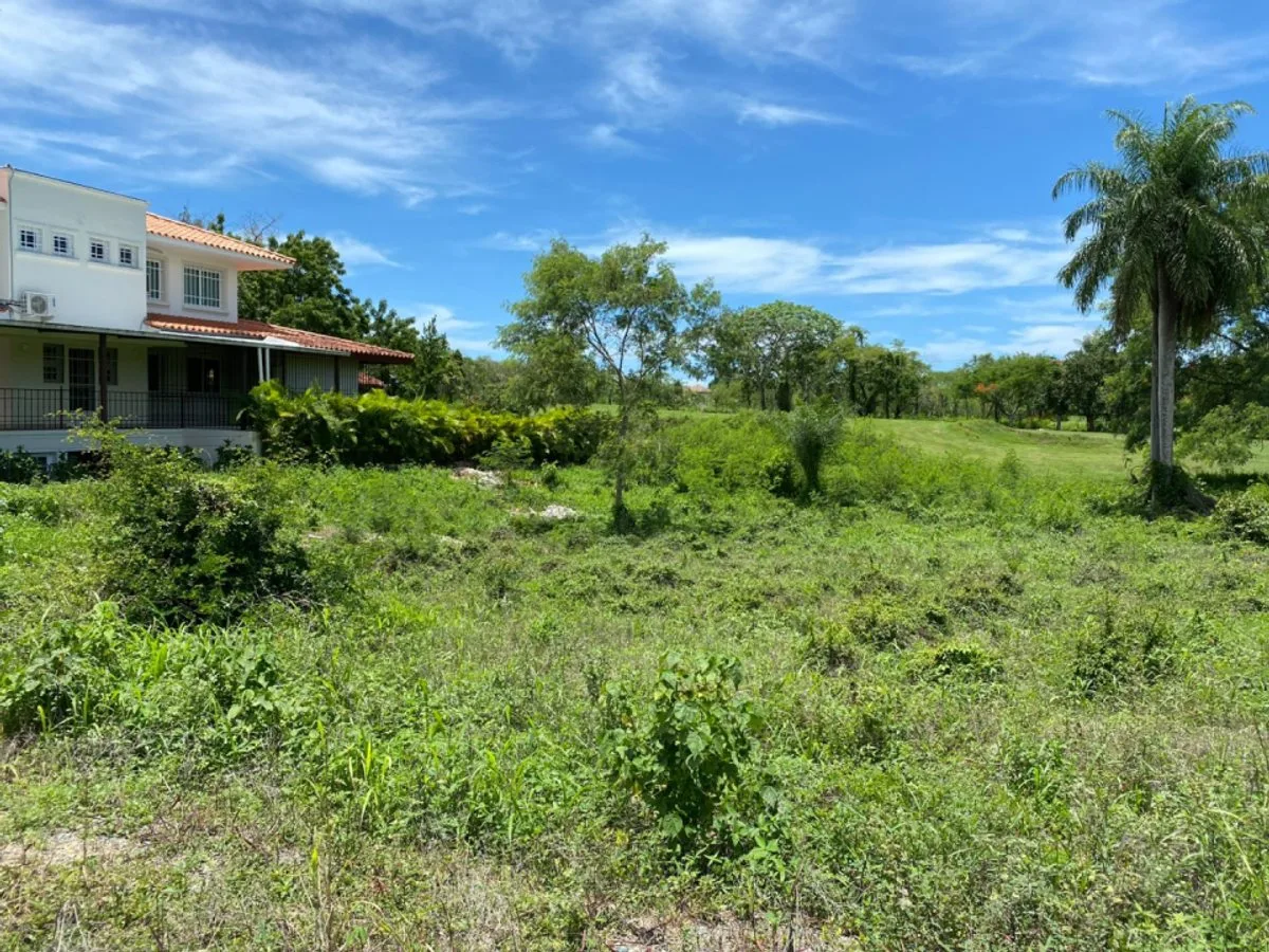 Exclusive lot with privileged view, Guavaberry, photo 4