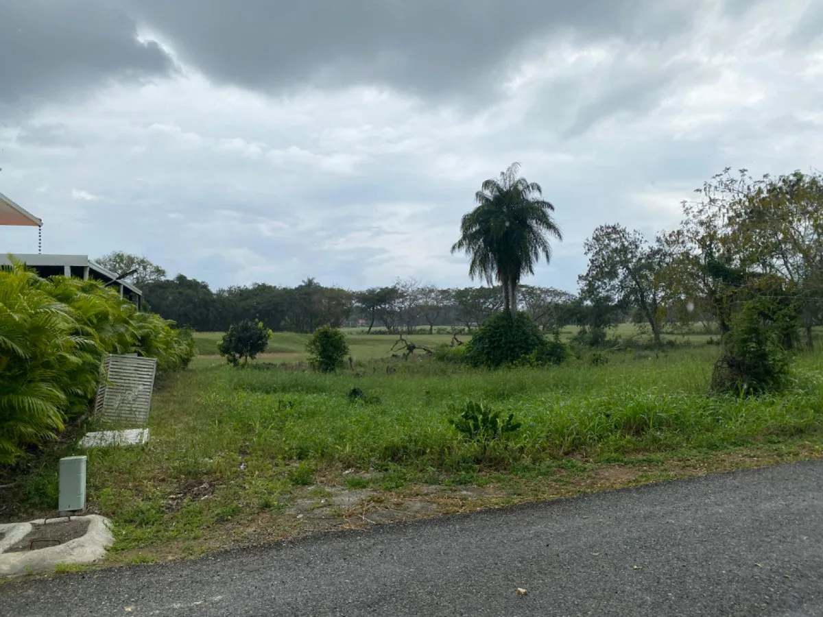 Exclusive lot with privileged view, Guavaberry, photo 5