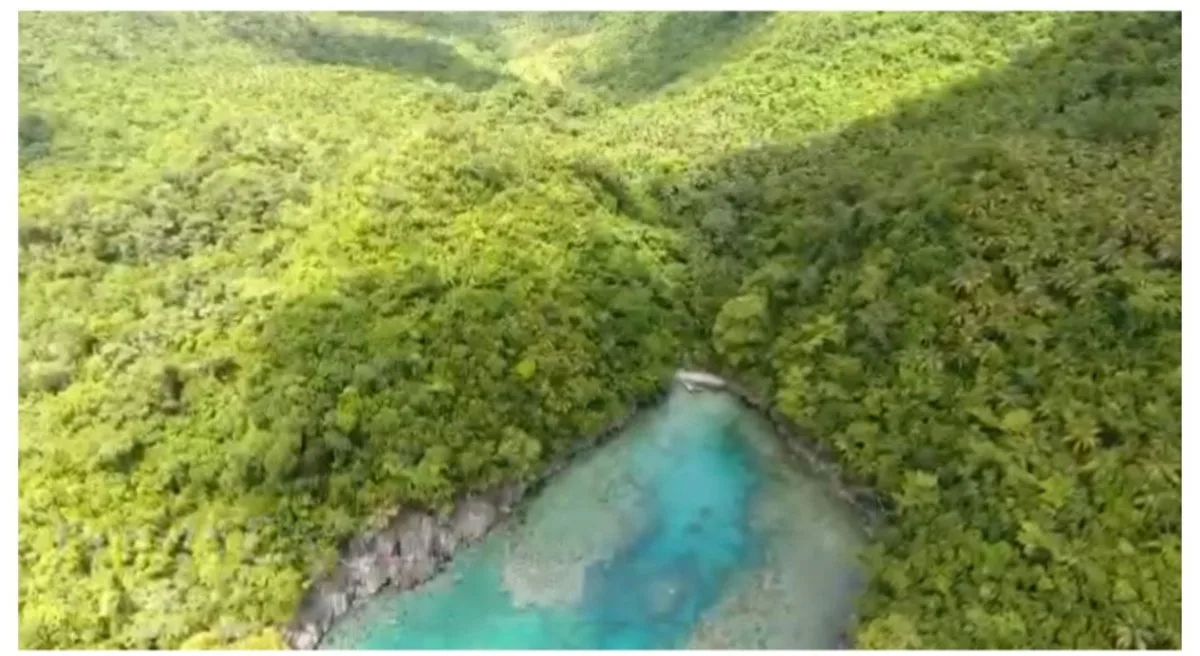 Terreno en Venta en Las Galeras, Samaná 473,342 m², foto 8