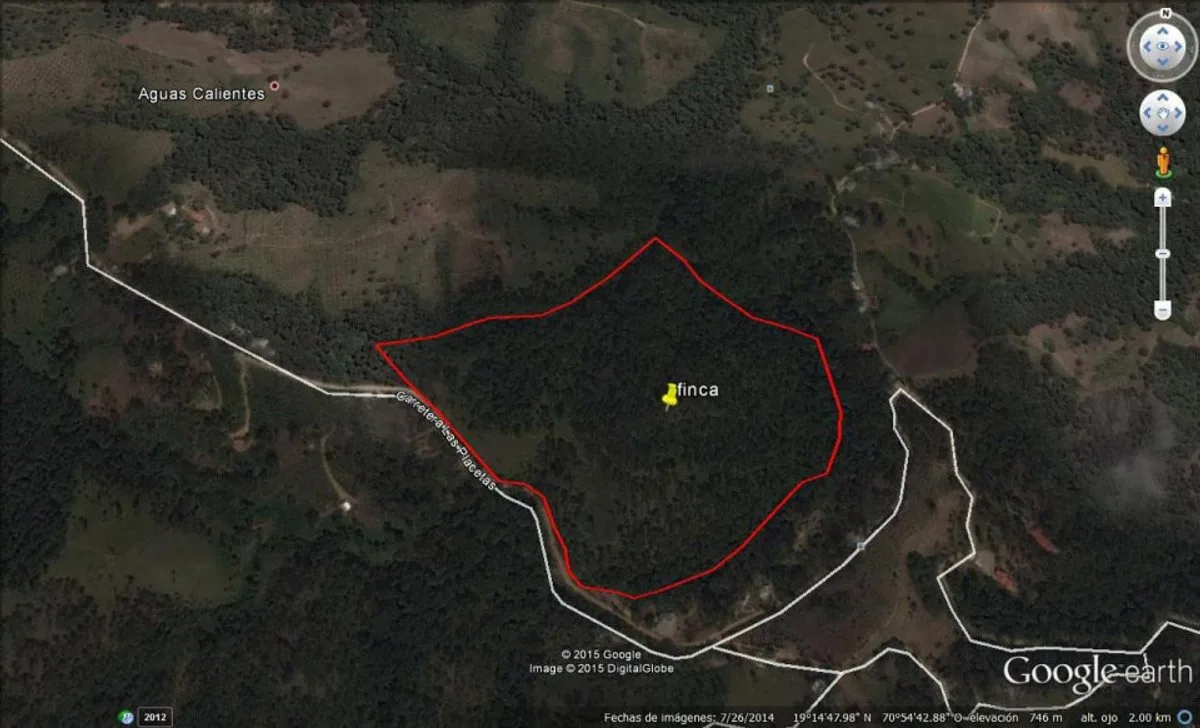 Farm for Sale in San Jose de Las Matas, photo 7
