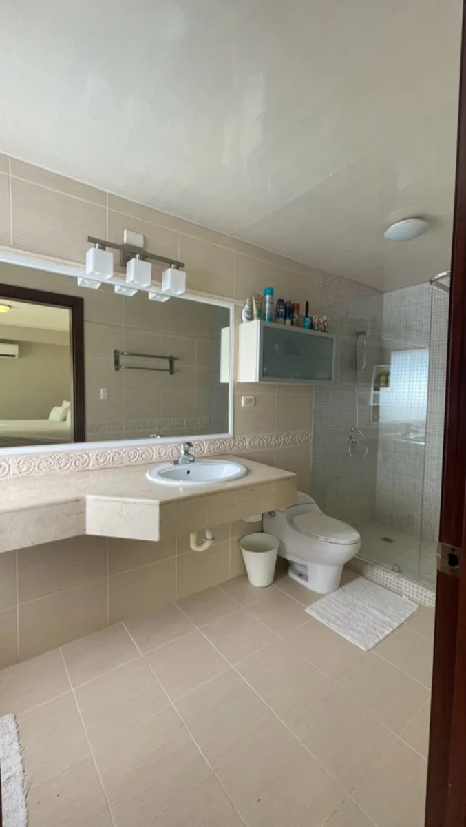 Apartment for sale Piantini, photo 14