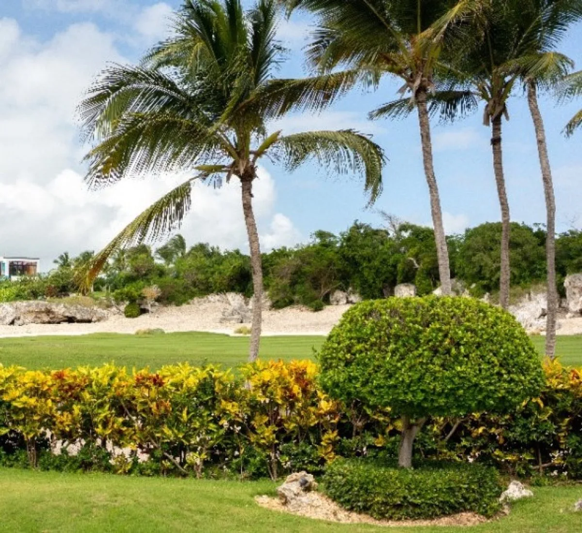Casa en Las Iguanas, Cap Cana, foto 2