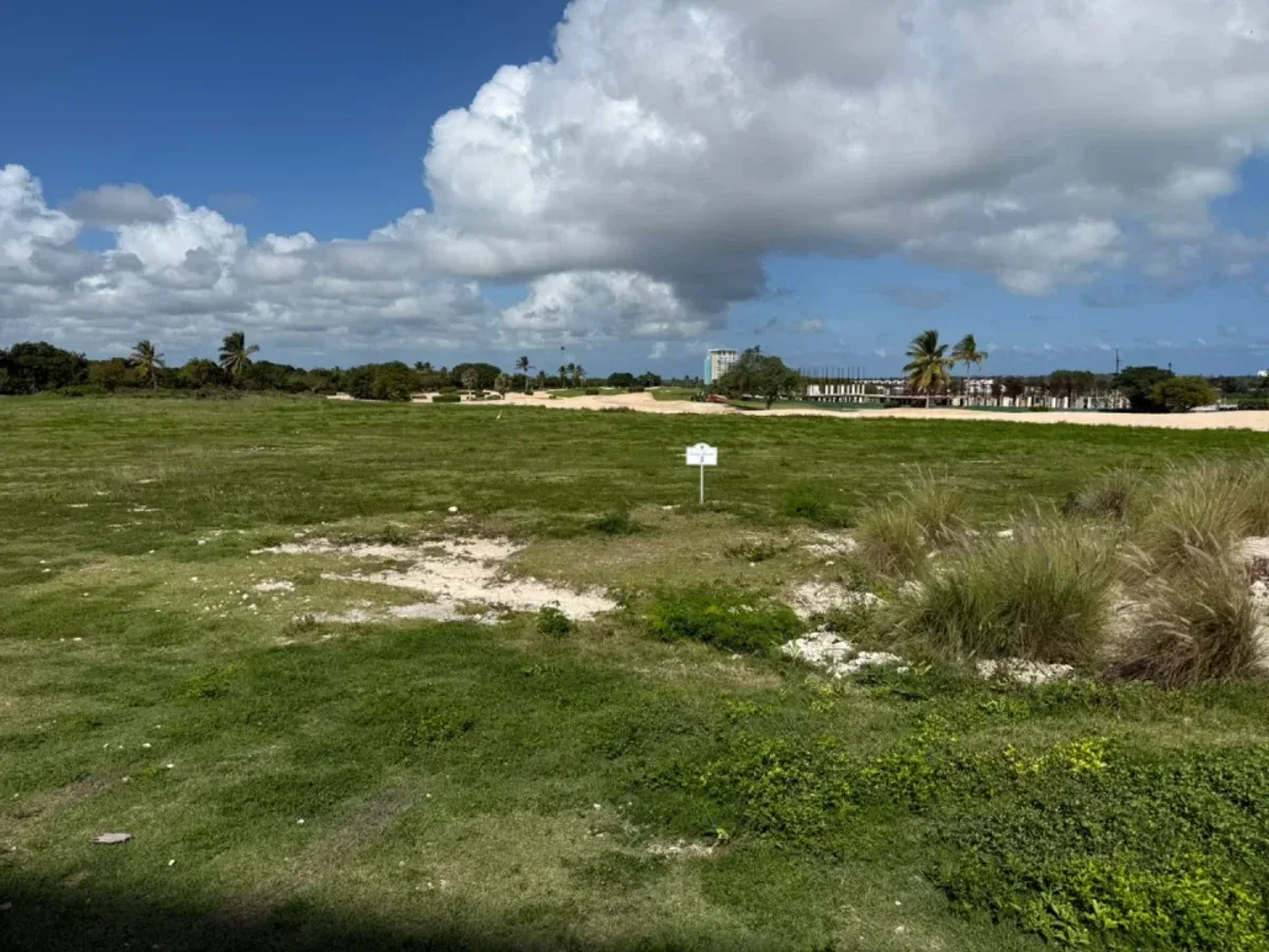 Terreno en venta en Cap Cana, foto 2