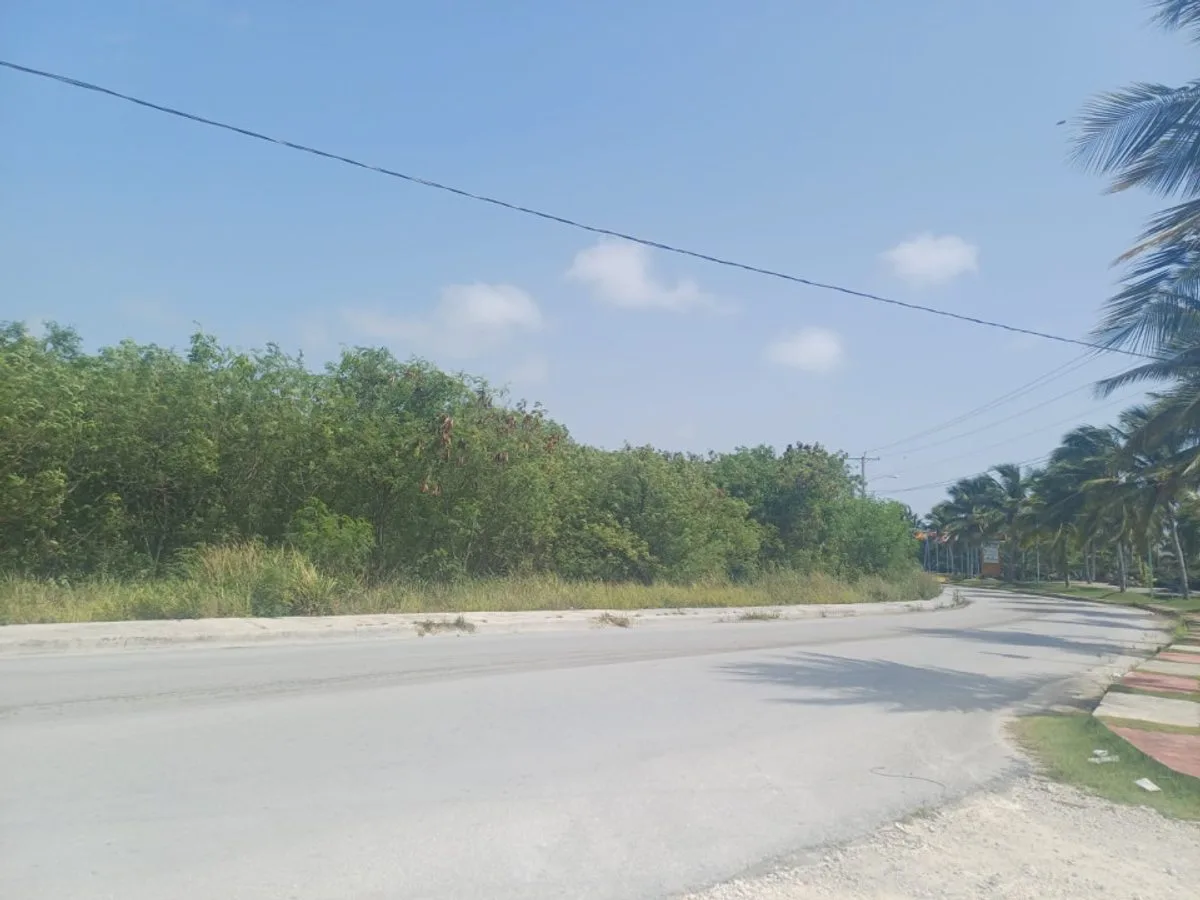 Grundstück in Punta Cana, Bávaro, Foto 2