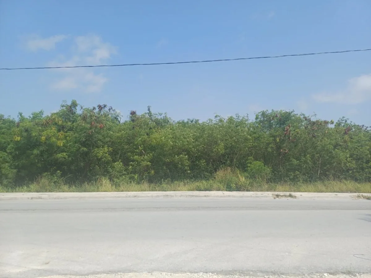 Grundstück in Punta Cana, Bávaro, Foto 3
