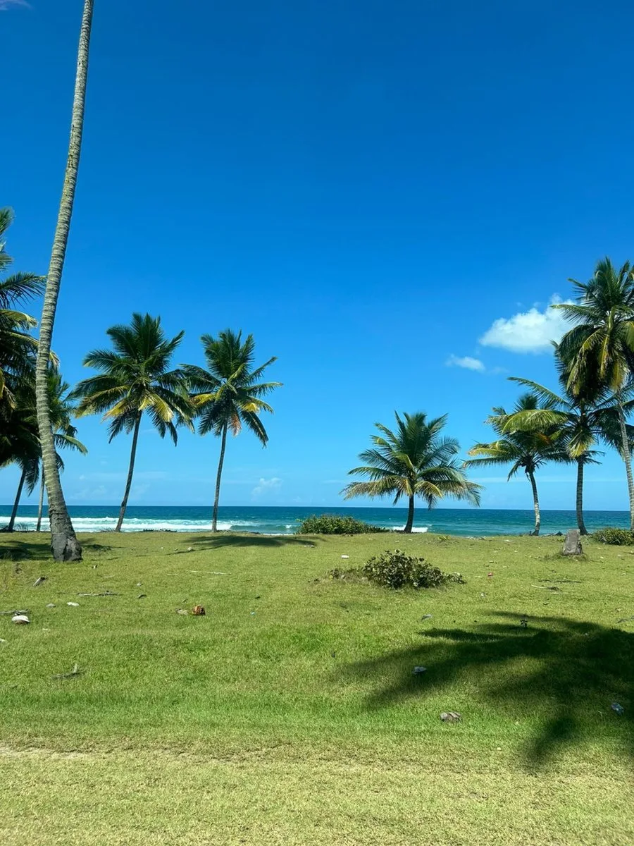 Land in Nagua, Los Yayales, 16735 m², photo 2
