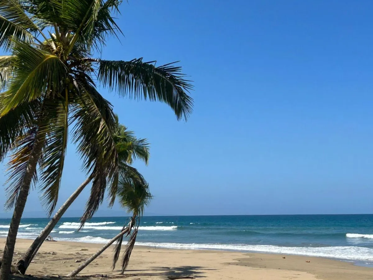Land in Nagua, Los Yayales, 16735 m², photo 3
