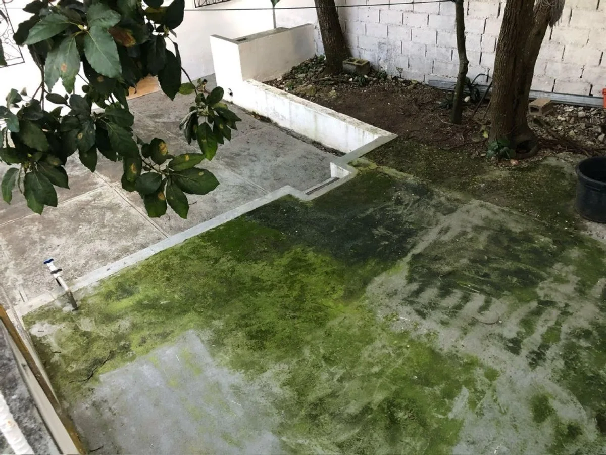 Commercial space for sale in Higüey, Centro del Pueblo, photo 7