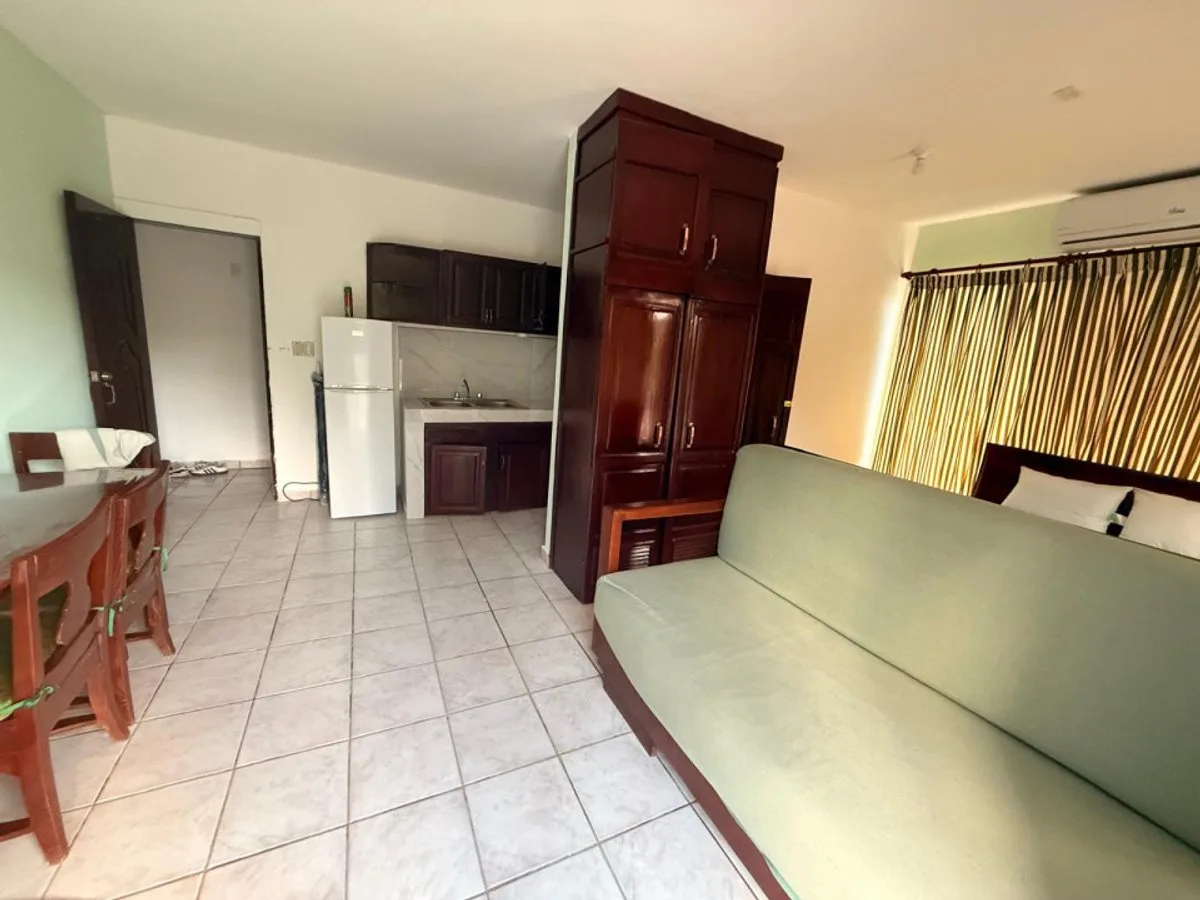 Appartement meublé à Playa Juan Dolio, photo 9