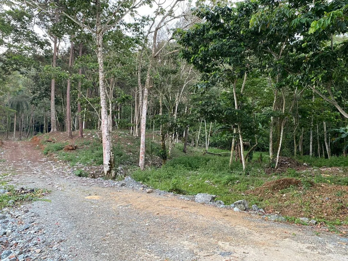 Terreno En Mata De Plátano, Jarabacoa, foto 8