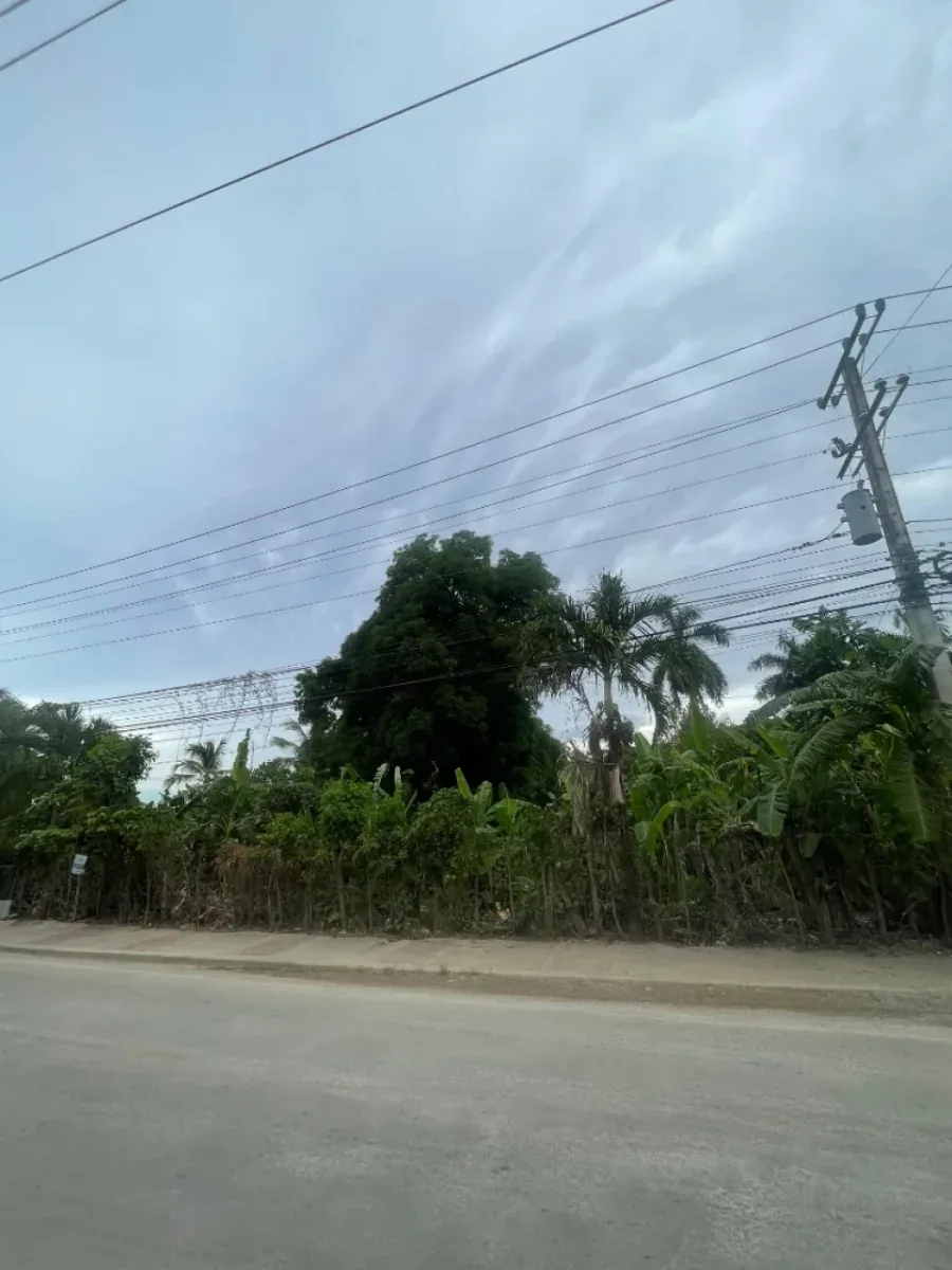 Terreno en el Centro de Samaná Las Terrenas, foto 2