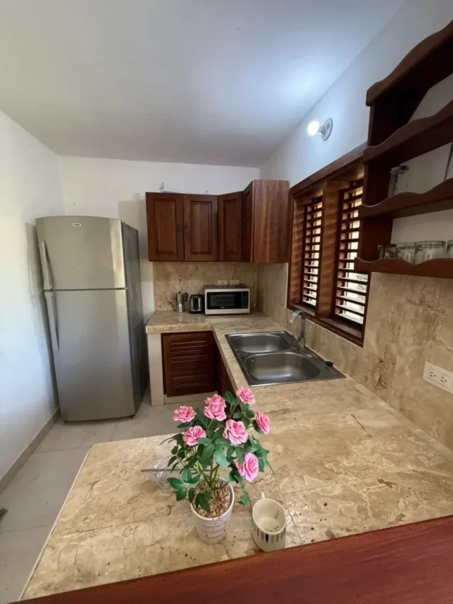 Villa Touristique à Samaná, Las Terrenas, photo 8