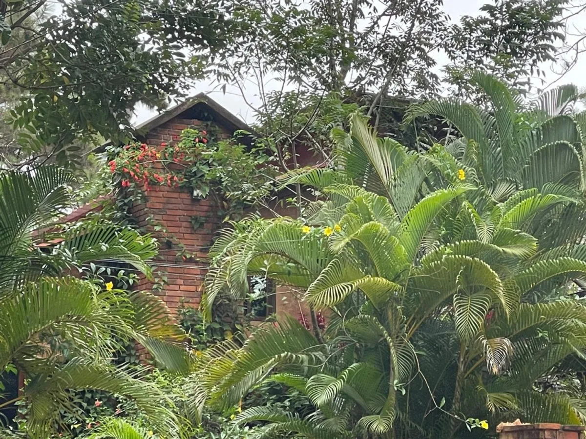 Casa en Jarabacoa, Buena Vista, 4 habitaciones, foto 11
