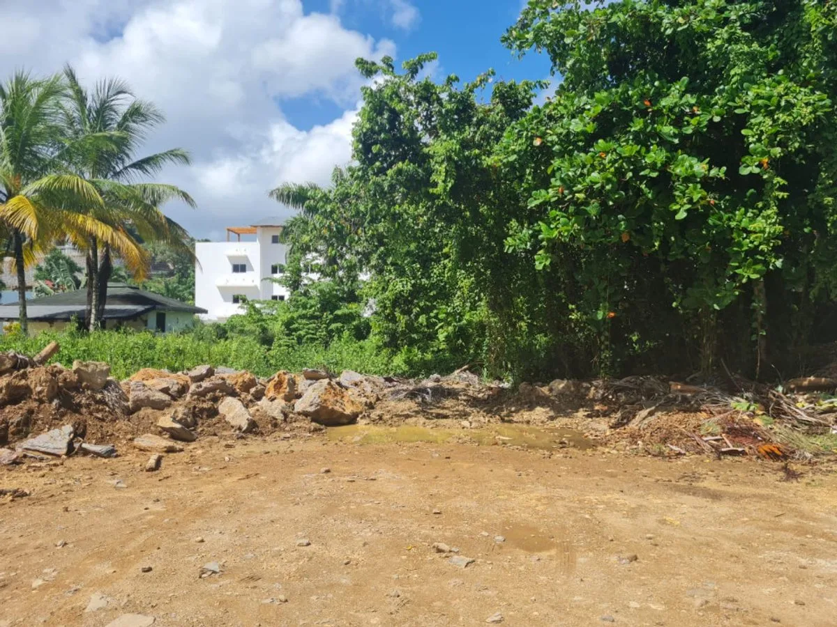 Terrain à Samana Las Terrenas, photo 3