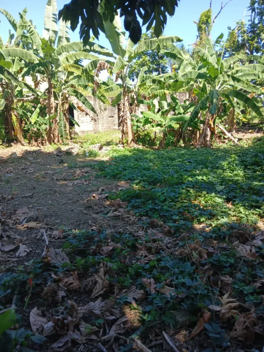 Terreno en venta en Cabrera, Abreu, foto 2