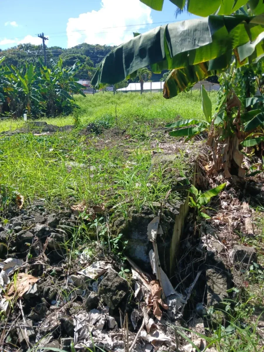 Terreno en venta en Cabrera, Abreu, foto 3