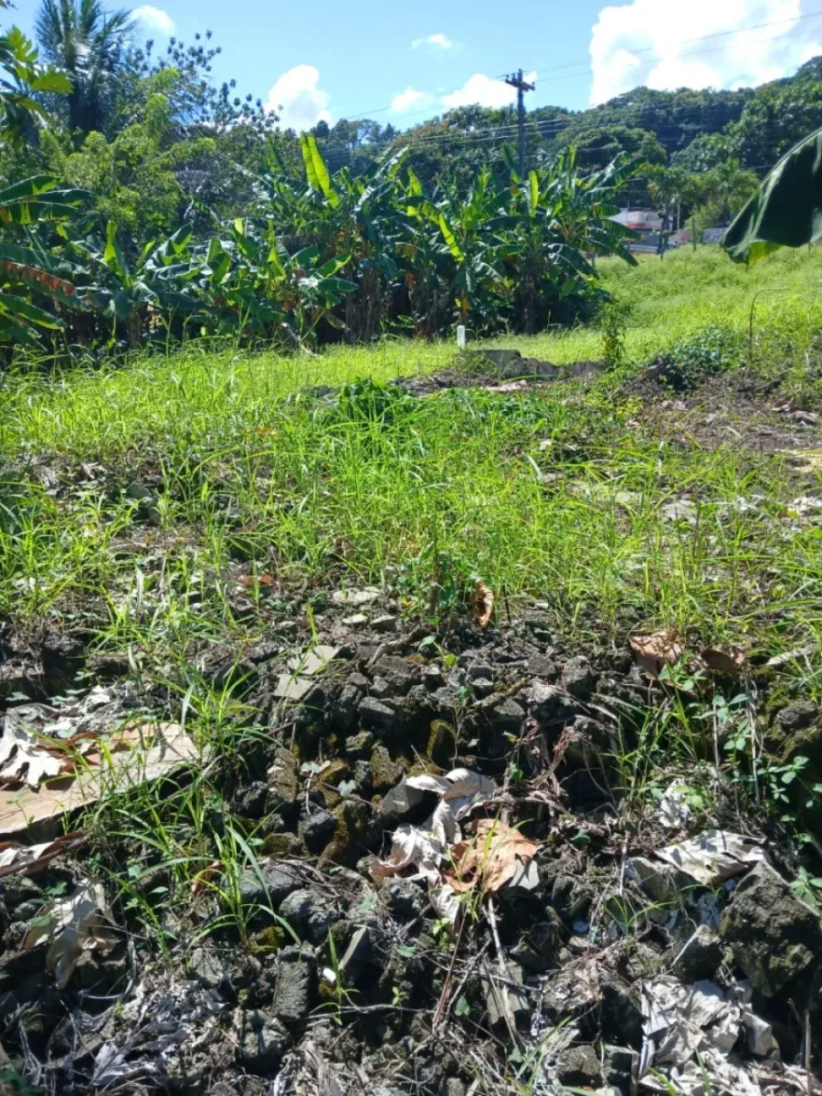Terreno en venta en Cabrera, Abreu, foto 4