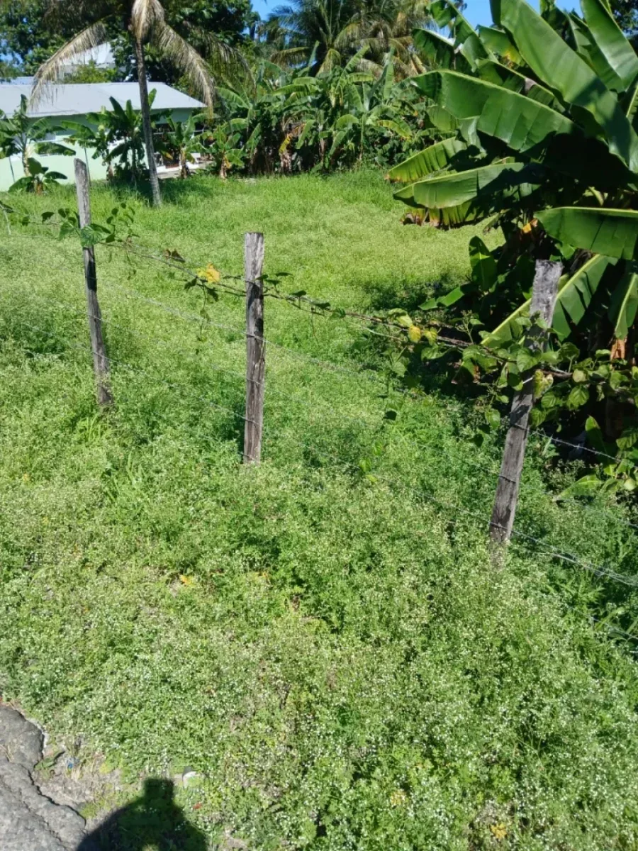 Terreno en venta en Cabrera, Abreu, foto 5