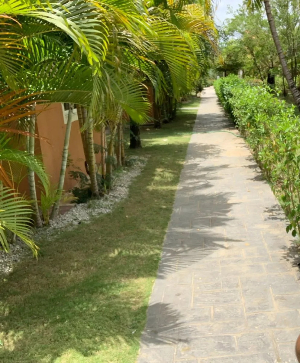 Apartment for Sale in Pueblo Bávaro, Higüey, photo 3